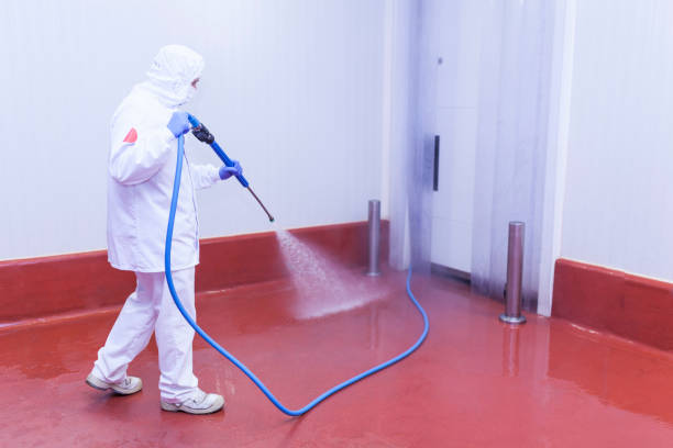 Professional Pressure Washing Services in Neenah, WI